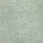 NPT tropical tile