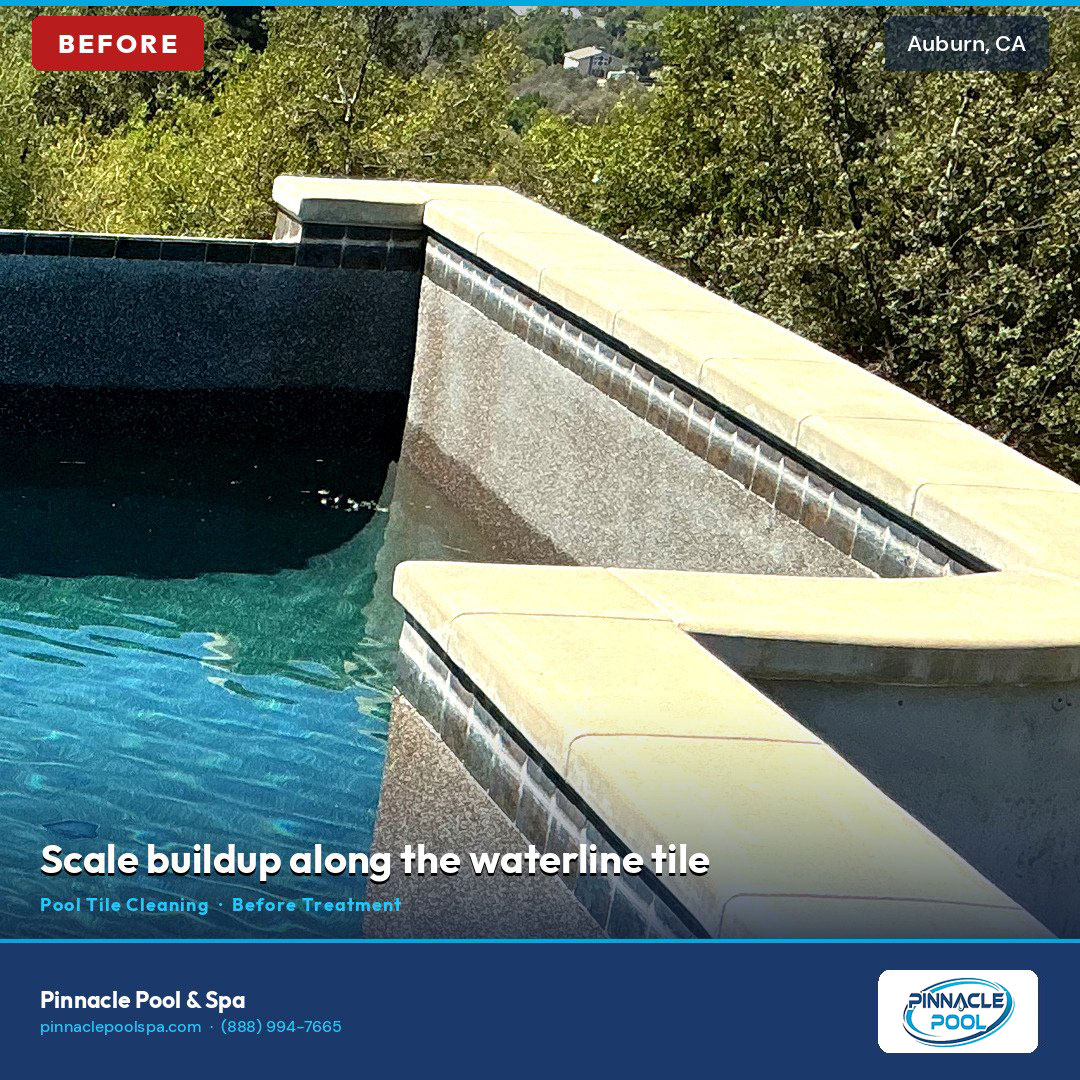 Before — scale buildup along the waterline tile, Auburn CA